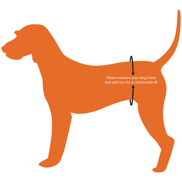 Furzone Large Reusable Washable Female Dog Diaper <br>Suitable for waistline 50-60cm <br>Orange Fox
