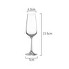 Measurements of Krystal by Classica Amira Champagne Flute 190ml capacity