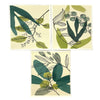 Set of 3 Biodegradable Swedish Dish Cloth with Green leaves patterns