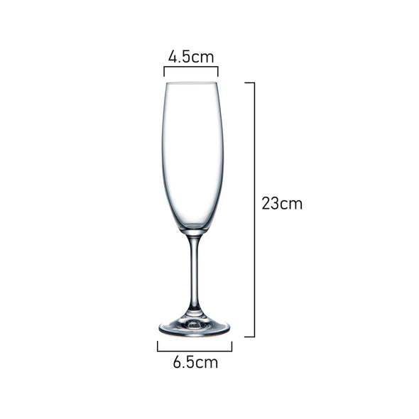Measurements of Krystal by Classica Sienna Champagne Flute 220ml